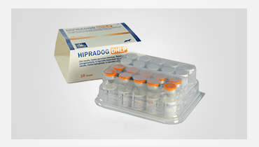 HIPRADOG DHLP Vaccine | Pet Vaccines Sri Lanka