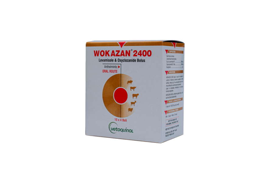 Wokazan 2400 mg