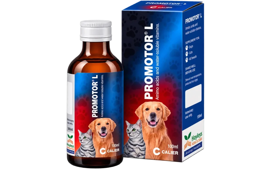 Promotor L - Pet